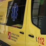 Sucesos.- Una persona fallecida y otra herida tras chocar su turismo contra un árbol en la P-220 en Brañosera (Palencia)