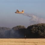 El incendio de Paredes de Monte (Palencia) alcanza el monte El Viejo ayudado por las fuertes rachas de viento Una veintena de medios aéreos y terrestres tratan de combatir las llamas que han dejado una densa humareda, visible desde la capital Brágimo / ICAL. El incendio de Paredes de Monte (Palencia) alcanza el monte El Viejo ayudado por las fuertes rachas de viento Una veintena de medios aéreos y terrestres tratan de combatir las llamas que han dejado una densa humareda, visible desde la capital Brágimo / ICAL. El incendio de Paredes de Monte (Palencia) alcanza el monte El Viejo ayudado por las fuertes rachas de viento Una veintena de medios aéreos y terrestres tratan de combatir las llamas que han dejado una densa humareda, visible desde la capital