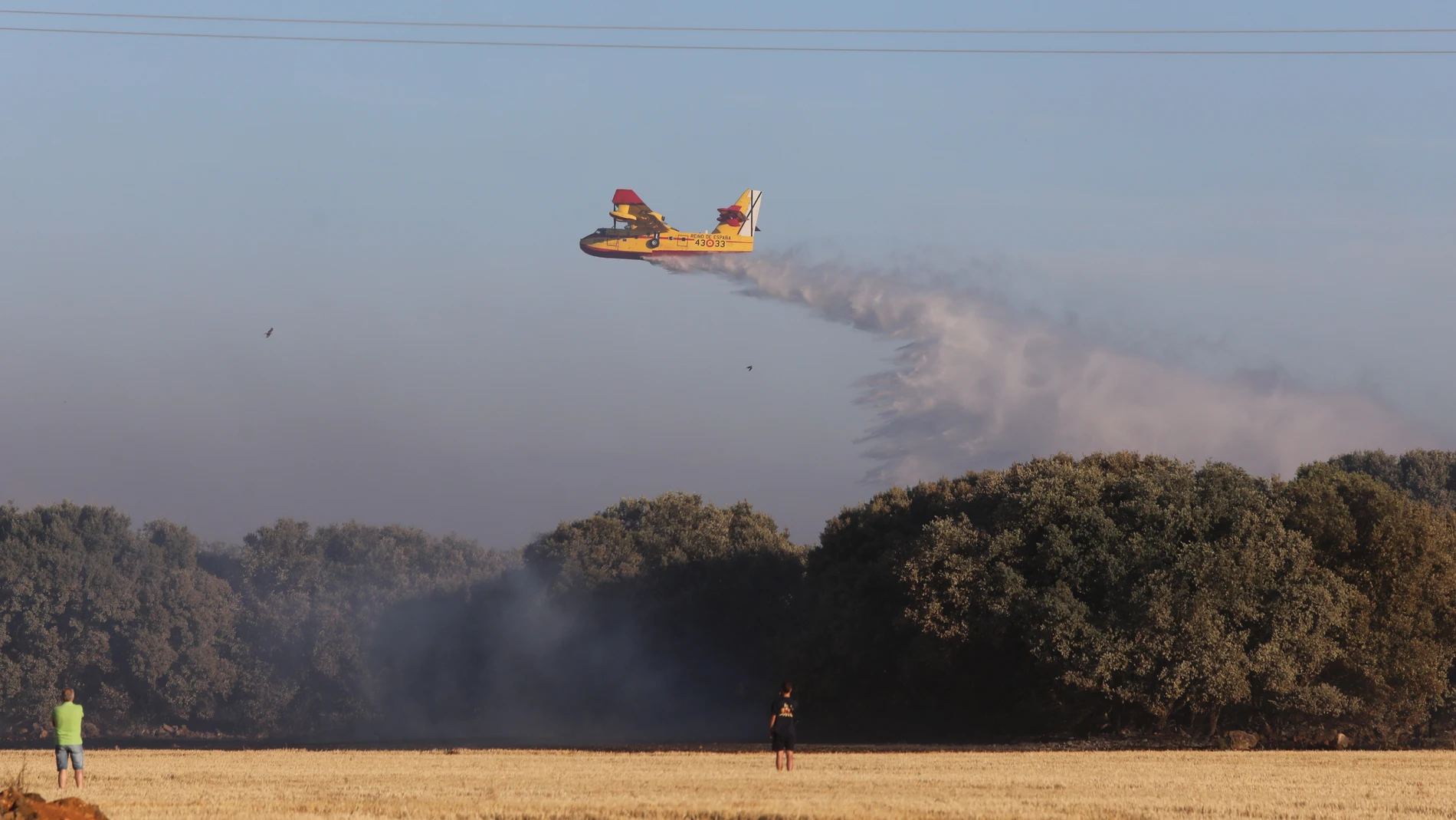 El incendio de Paredes de Monte (Palencia) alcanza el monte El Viejo ayudado por las fuertes rachas de viento Una veintena de medios aéreos y terrestres tratan de combatir las llamas que han dejado una densa humareda, visible desde la capital Brágimo / ICAL. El incendio de Paredes de Monte (Palencia) alcanza el monte El Viejo ayudado por las fuertes rachas de viento Una veintena de medios aéreos y terrestres tratan de combatir las llamas que han dejado una densa humareda, visible desde la capital Brágimo / ICAL. El incendio de Paredes de Monte (Palencia) alcanza el monte El Viejo ayudado por las fuertes rachas de viento Una veintena de medios aéreos y terrestres tratan de combatir las llamas que han dejado una densa humareda, visible desde la capital