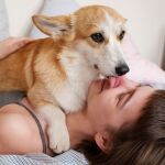 Tu perro no te lame porque te quiere: lo que realmente significa este gesto según una educadora canina