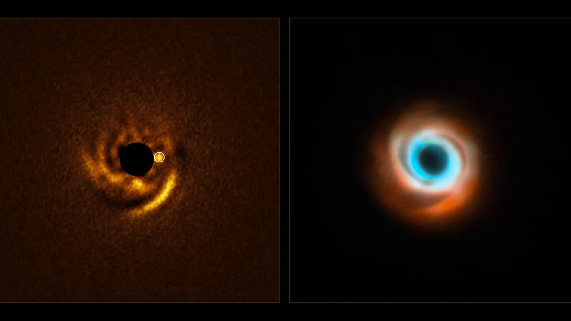 ERIS en el VLT revela un planeta bebé esculpiendo las espirales del disco protoplanetario de HD 135344B (círculo blanco), gracias al coronógrafo que bloquea la luz estelar. A la derecha, combinación de datos de SPHERE (rojo) y ALMA (naranja y azul) que hasta ahora no habían detectado al compañero.