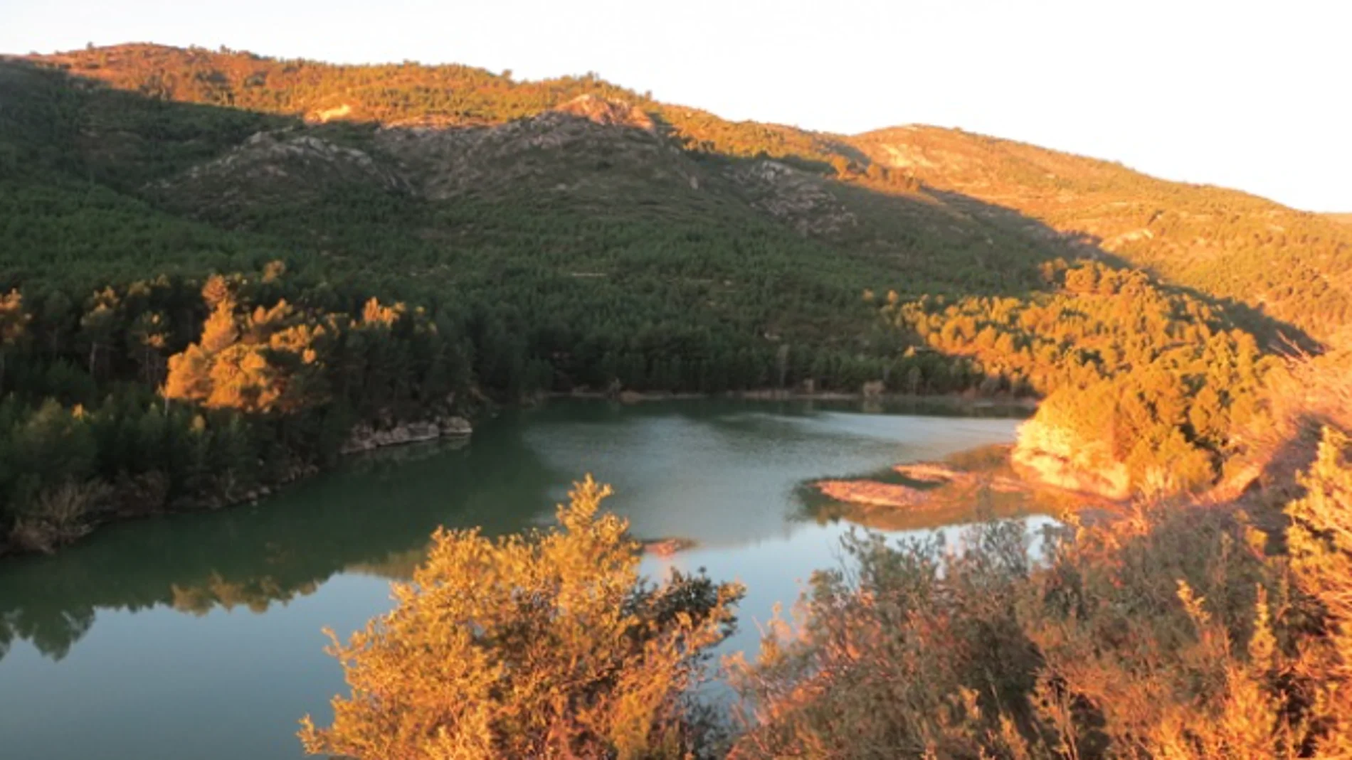 Pantano L'Alcora