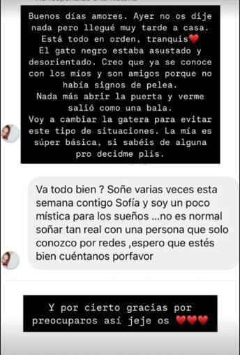 Story de Sofía Suescun con el gato intruso