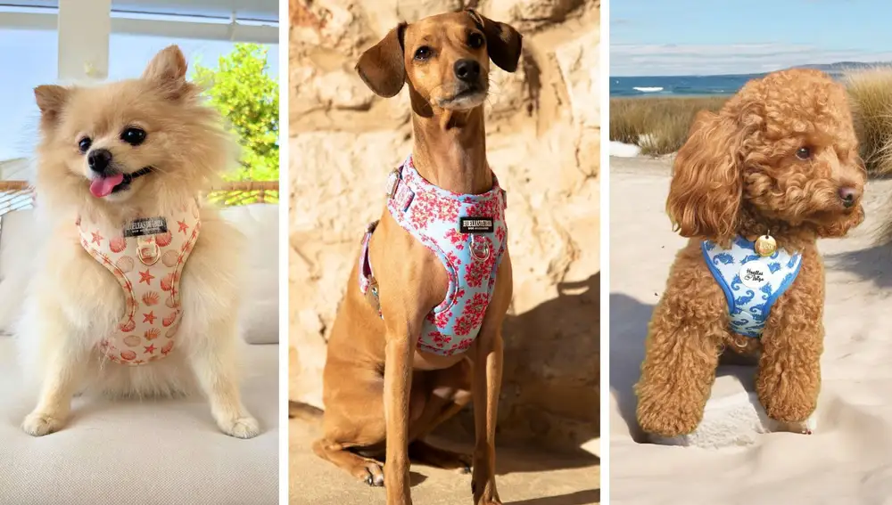 Estampados con alma isleña y mucha personalidad. Huellas de Ibiza, desde la isla con amor.