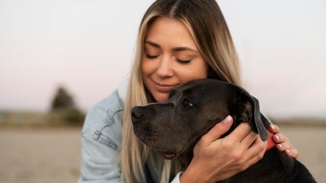 Día Mundial del Perro: 5 marcas españolas que miman (de verdad) a tu mejor amigo