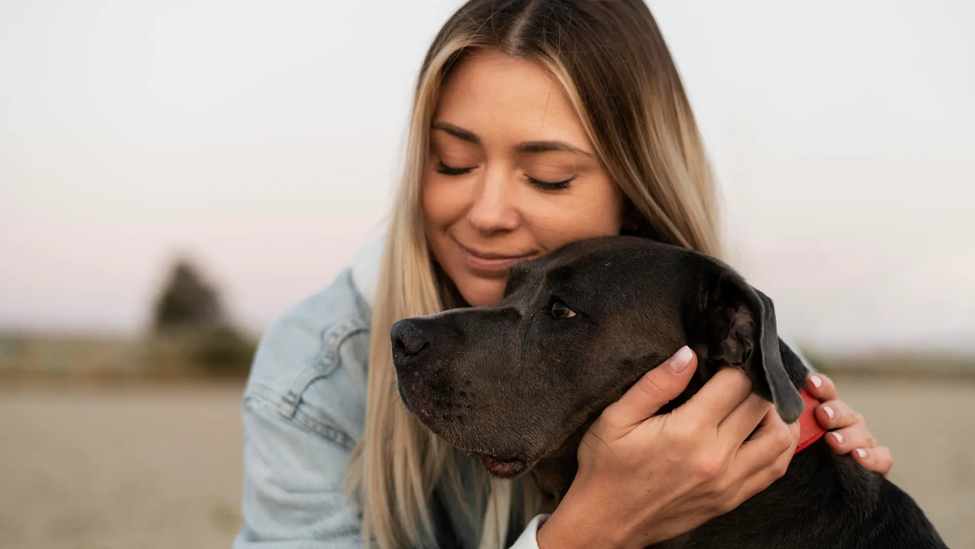 Día Mundial del perro. Un vínculo que no necesita palabras, chica joven abraza a su perro