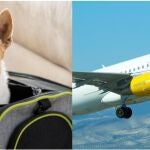 Vueling registra un 57% más de vuelos con mascotas en los últimos cinco años