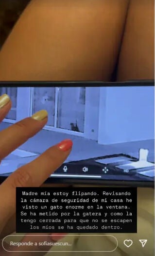 Story de Sofía Suescun con el gato intruso
