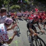 Cycling Tour de France