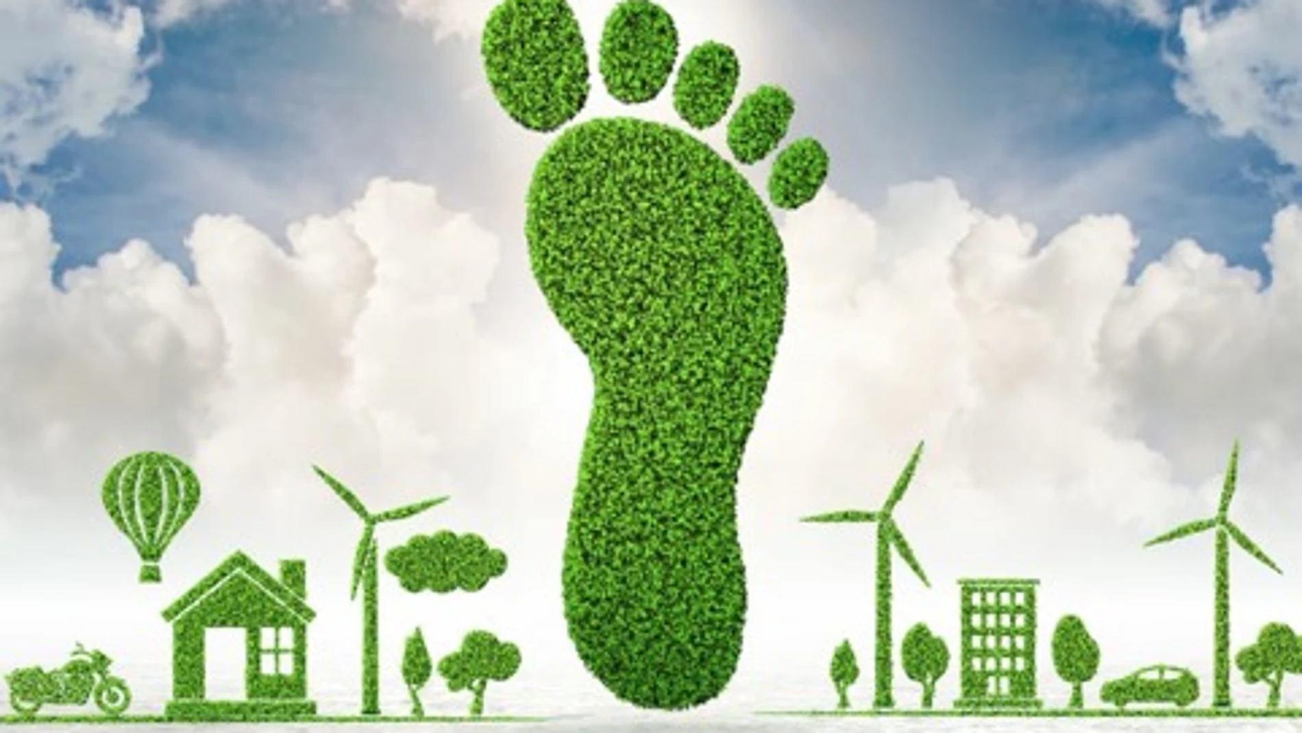Cómo reducir la huella de carbono: consejos para el hogar