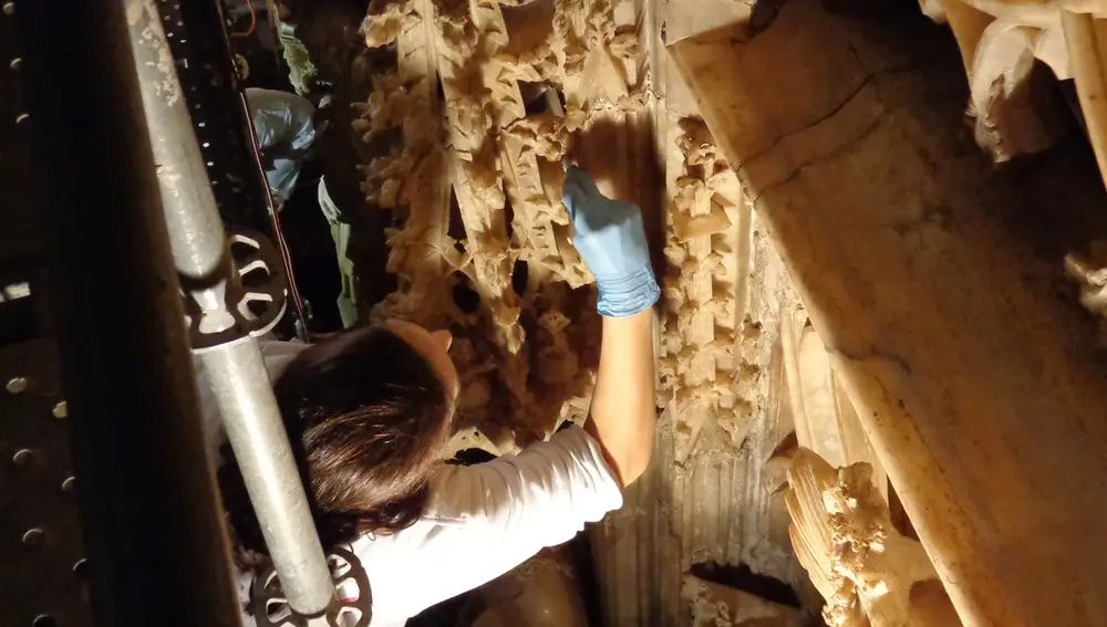 Instalación en la Catedral de Valencia