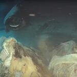 Por qué lanzaron una vaca a las profundidades del mar de China