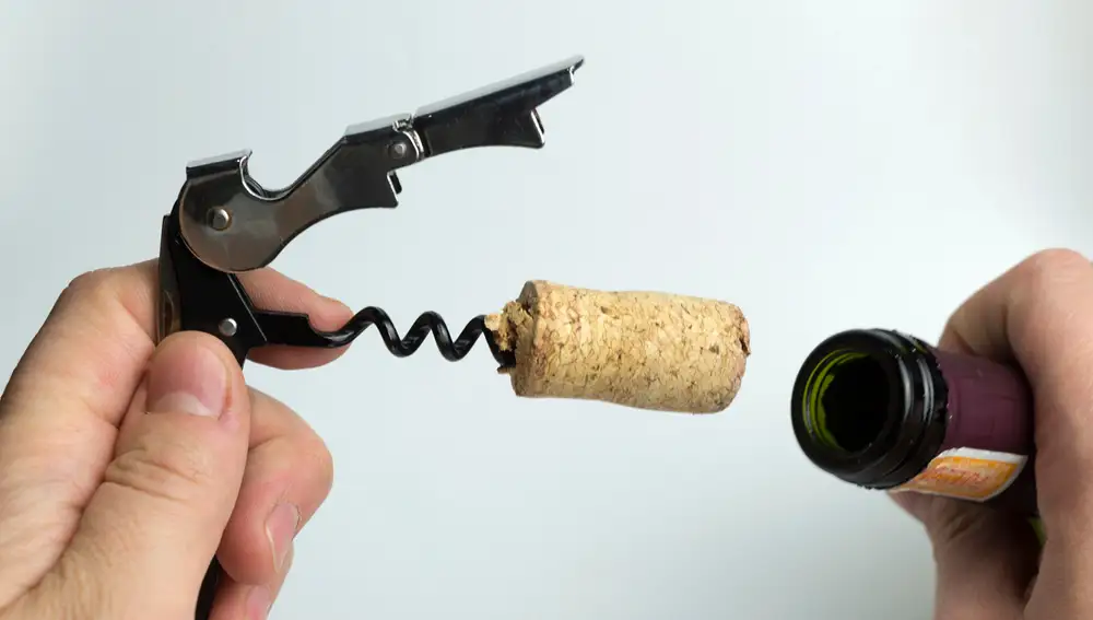 Sacacorchos Botella Vino