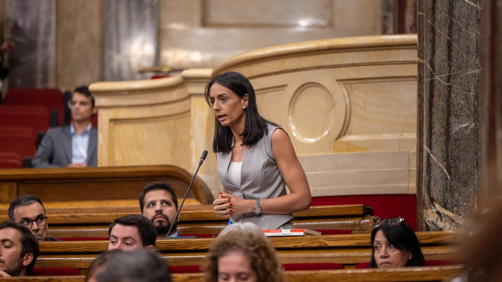 Vox impide la comparecencia telemática de Lluís Puig y la comisión se suspende