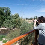 Ayuso visita el entorno rehabilitado del corredor Arco Verde y el nuevo paso sobre el río Henares