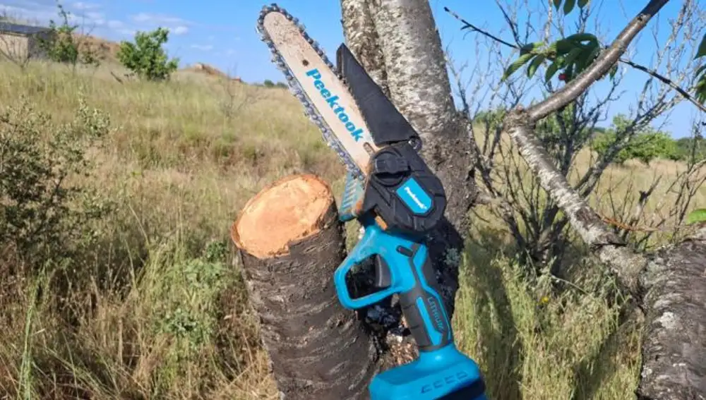 Mini motosierra Peektook