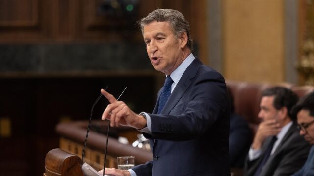 Alberto Núñez Feijóo, en el Congreso de los Diputados. 