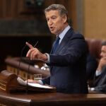 Alberto Núñez Feijóo, en el Congreso de los Diputados. 