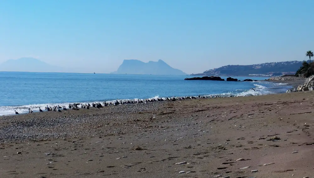 Playa Arroyo Vaquero