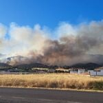 El incendio forestal de Córdoba se reactiva y desarrolla "una carrera ascendente"
