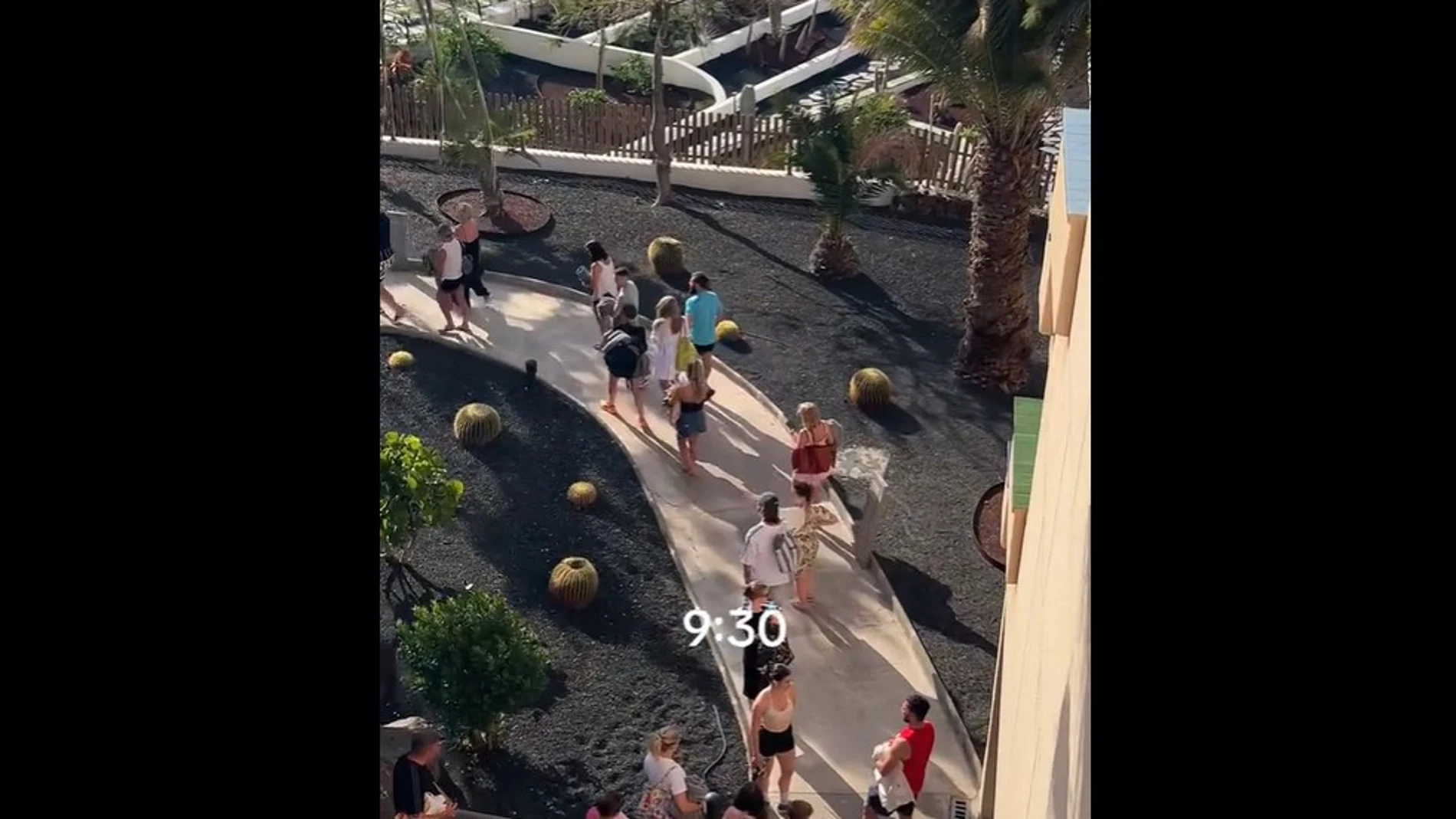 La 'Guerra de las Hamacas' vuelve a estallar en Canarias: turistas madrugan más que los gallos para conquistar la piscina