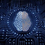 DOMINIO COGNITIVO 