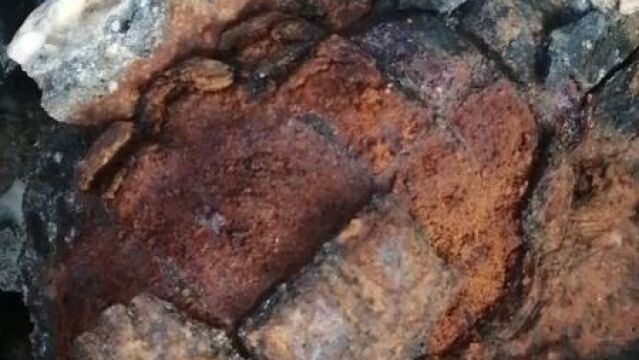 Una niña encuentra una 'piedra' en la playa y su familia llama a la policía al descubrir qué era