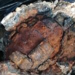 Una niña encuentra una 'piedra' en la playa y su familia llama a la policía al descubrir qué era