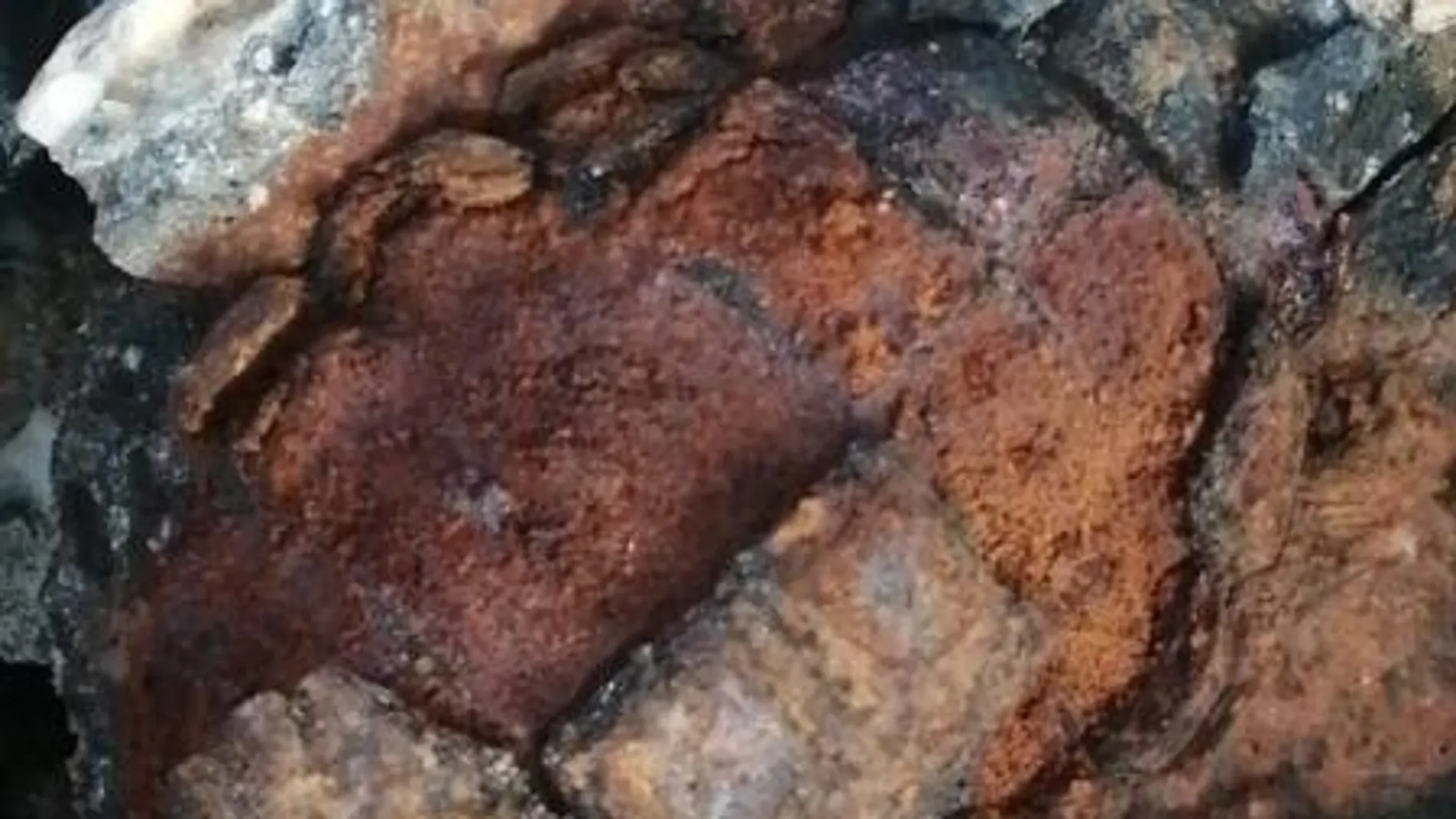 Una niña encuentra una 'piedra' en la playa y su familia llama a la policía al descubrir qué era
