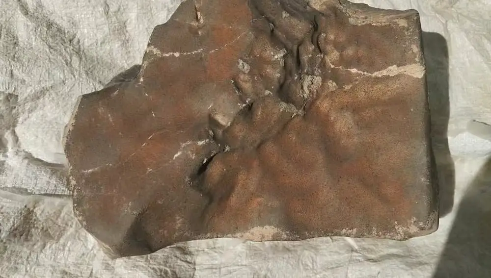 NWA 16788