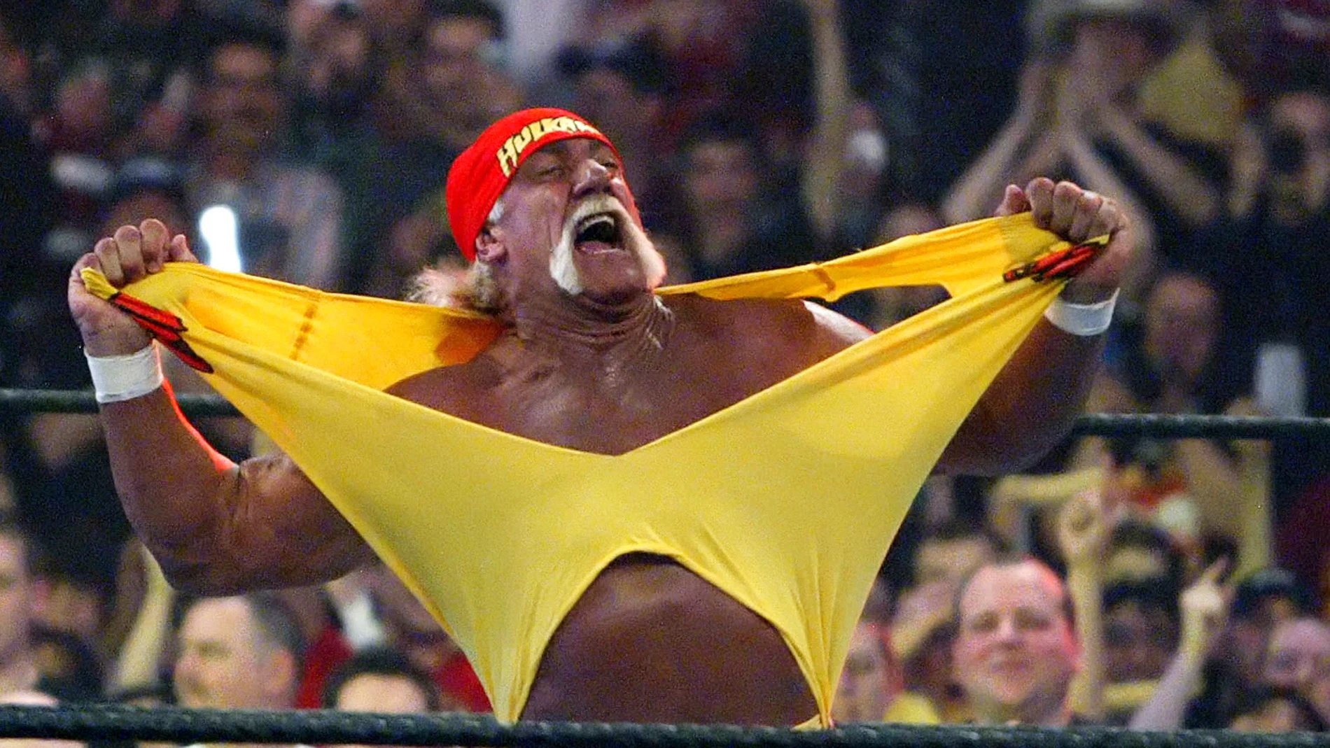 FILE - Hulk Hogan fires up the crowd between matches at WrestleMania 21 at the Staples Center in Los Angeles, April 3, 2005. (AP Photo/Chris Carlson, File)