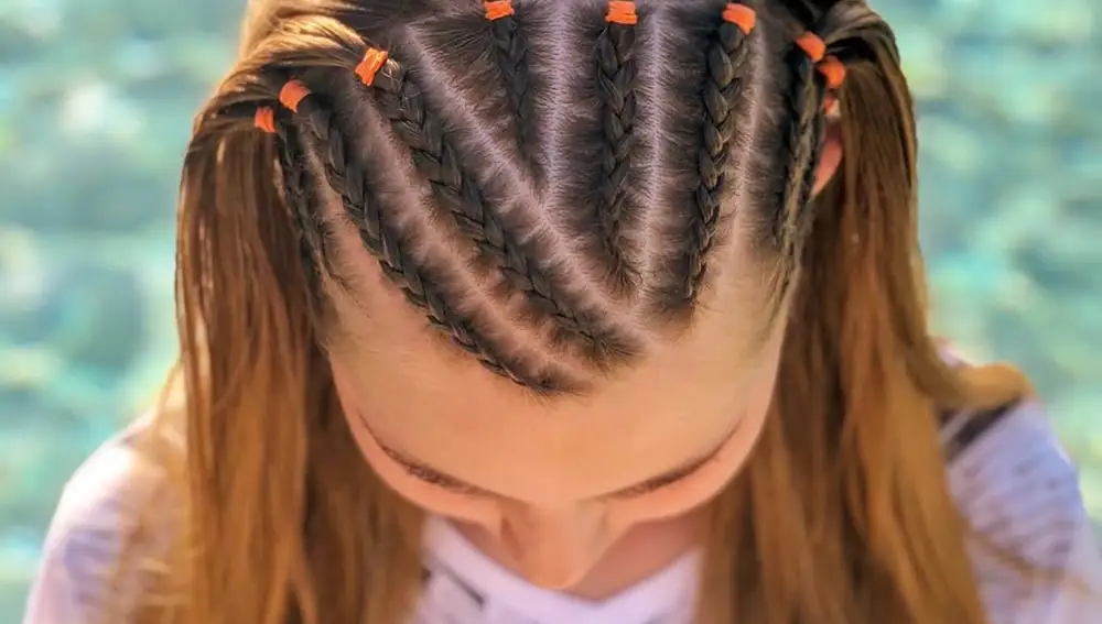 Trenzas y pelo suelto