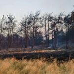 Turquía.- Turquía anuncia la muerte de cinco bomberos y cinco rescatistas en un incendio en el este del país
