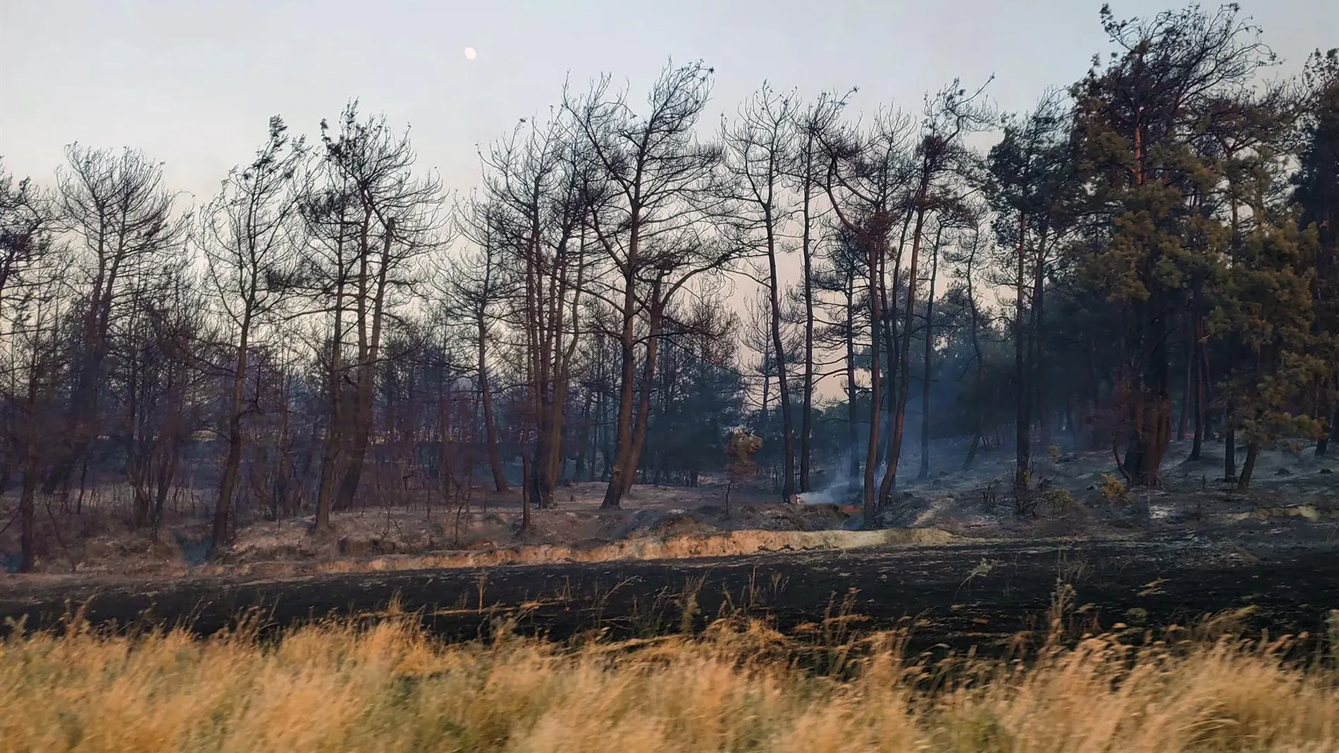 Turquía.- Turquía anuncia la muerte de cinco bomberos y cinco rescatistas en un incendio en el este del país