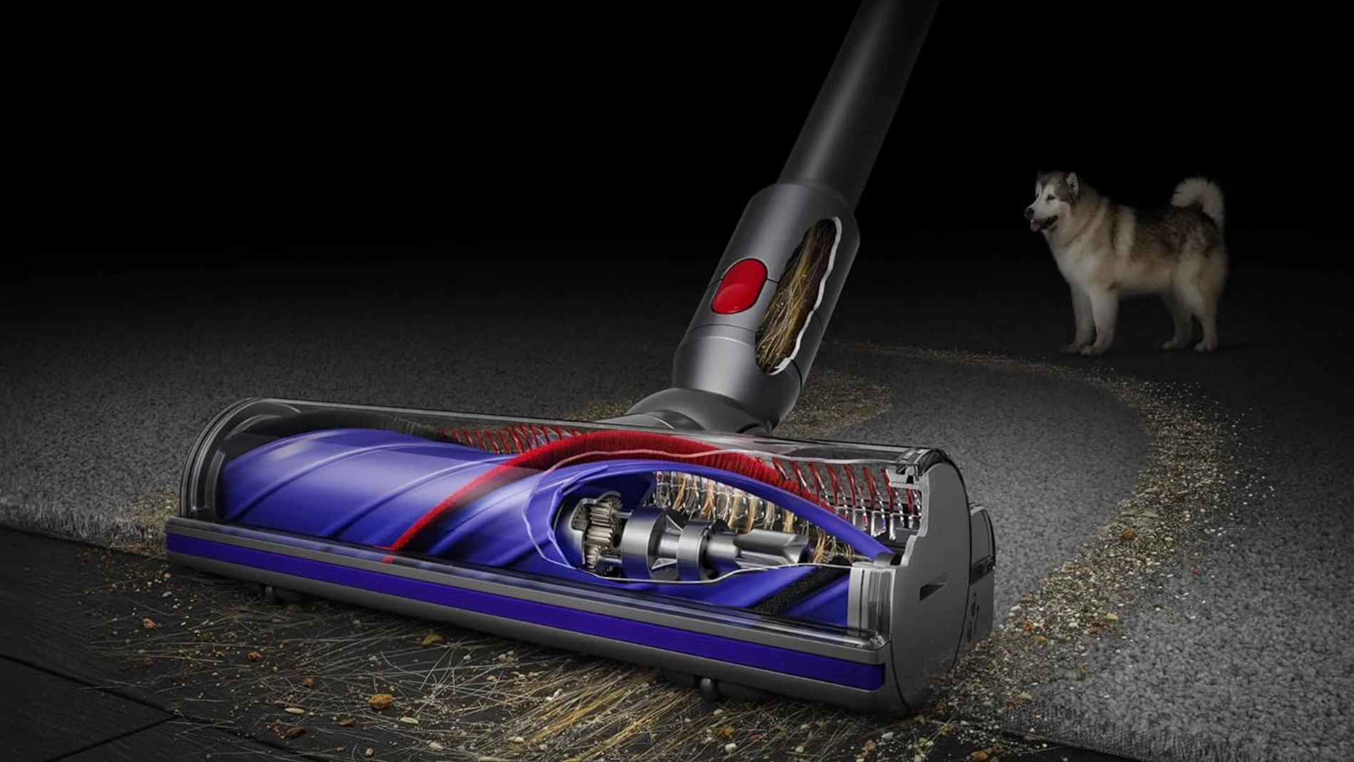 Dyson V8 Advanced