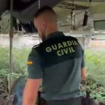 Operación BORROMEO EXPRESS