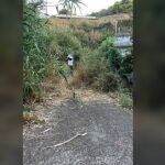 Vecinos evitan un incendio forestal en Gran Canaria al descubrir a un hombre prendiendo fuego en el monte
