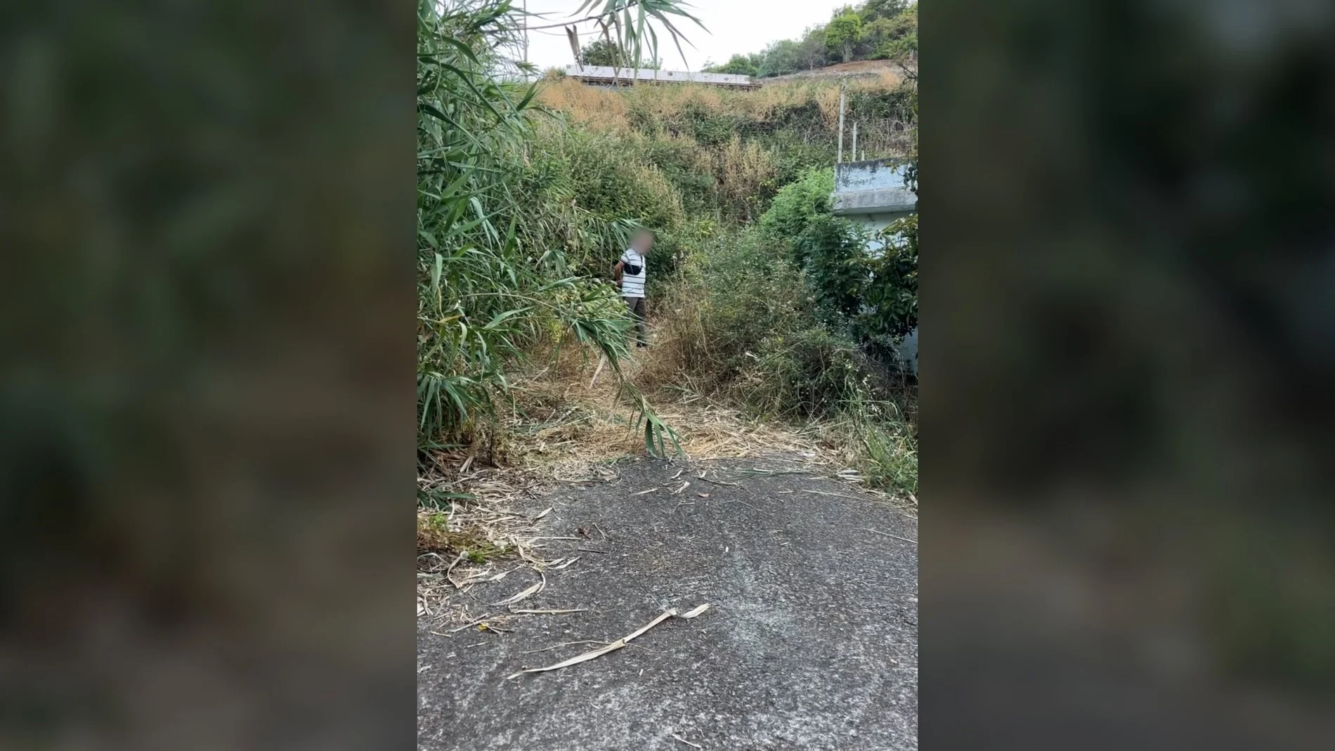Vecinos evitan un incendio forestal en Gran Canaria al descubrir a un hombre prendiendo fuego en el monte