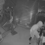 Imagen robando