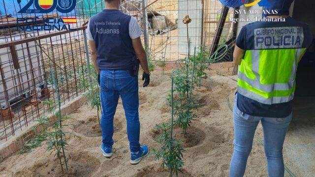 Los agentes durante la operación 