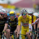 Cycling Tour de France