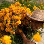 Imagen de ‘Hilando Sones’, la cinta de Ismael Vásquez Bernabé 