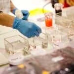 Imagen de archivo de una investigación clínica.