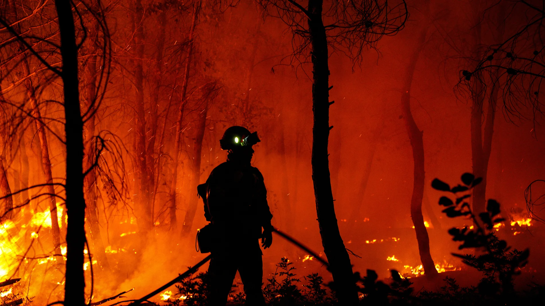 July 9, 2025, Athens, Athens, Greece: Firefighting forces during the wildfire in Asprochori, Oropos, Attica on July 9, 2025. Europa Press/Contacto/Giorgos Arapekos 09/07/2025 ONLY FOR USE IN SPAIN