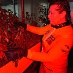 Misión exitosa: avances para cultivar rábanos, cebollino o tomateras enanas fuera de nuestro planeta