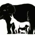 La cantidad de animales que encuentres revela tu edad mental: ¿Cuántos eres capaz de ver?