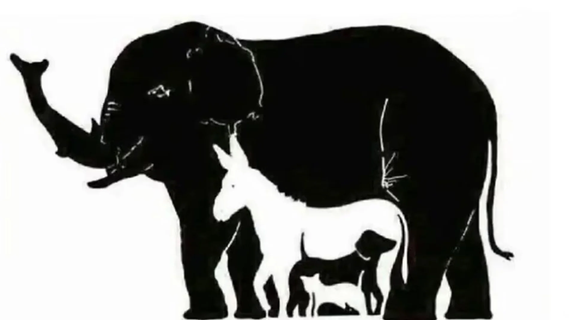 La cantidad de animales que encuentres revela tu edad mental: ¿Cuántos eres capaz de ver?