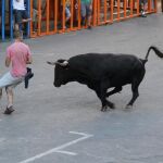 La Generalitat Valenciana saca a consulta ciudadana su proyecto de reglamento de 'bous al carrer'