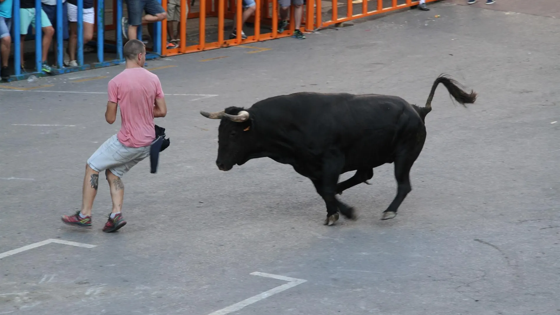 La Generalitat Valenciana saca a consulta ciudadana su proyecto de reglamento de 'bous al carrer'