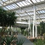 El Ayuntamiento destaca su "control biológico" y sin insecticidas de las plagas en árboles y plantas de la ciudad